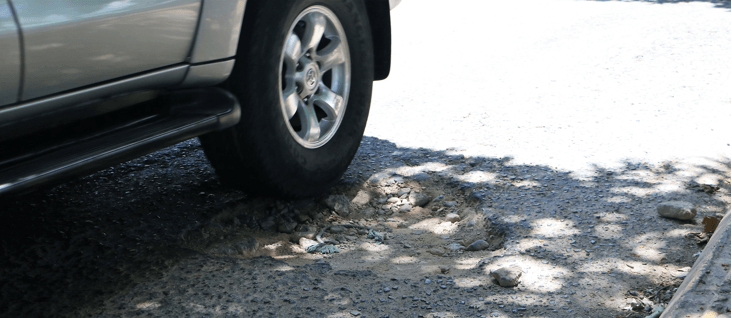 Bache en una carretera asfaltada con carro